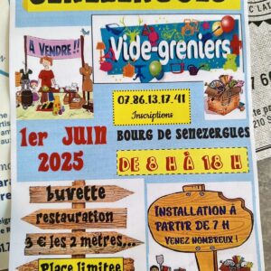 Vide-greniers