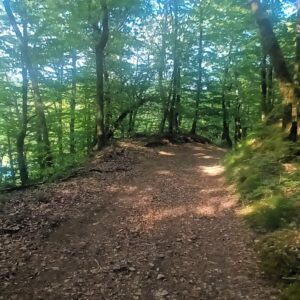 Rando pédestre – Le Pont du Rouffet