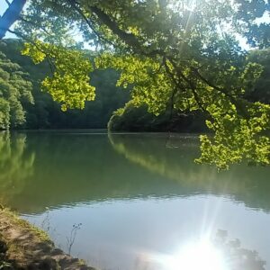 Rando pédestre – Le Pont du Rouffet