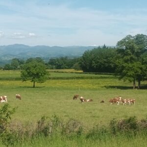 Rando pédestre – Le Chemin des Pradelles