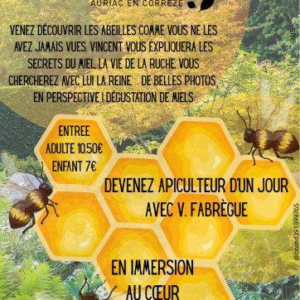 Les abeilles aux Jardins Sothys