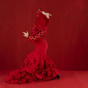 Stage de flamenco