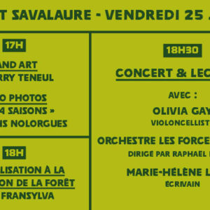 Concert symphonique, land art, lectures, expo photo à Savalaure
