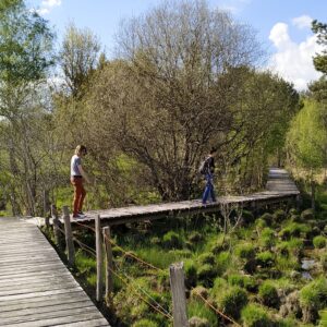 Balade occitane et naturaliste au cœur du marais du Cassan