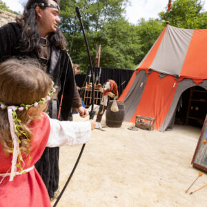 Destins de chevaliers