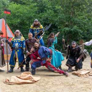 Destins de chevaliers