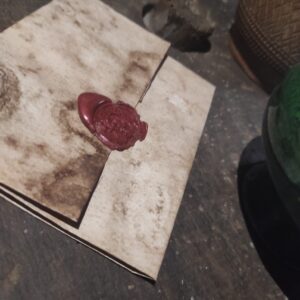 Murder-party – « Mais qui a tué le seigneur de Rochedragon ? »