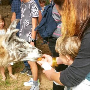 Visite guidée de La Prairie des animaux