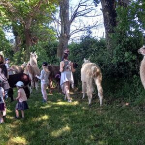 Visite guidée de La Prairie des animaux
