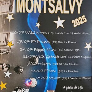 Concerts de rue « Les Jeudis du rock »