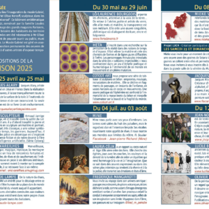 Musée Gabriel – Création participative avec l’artiste Mieke van den Hende