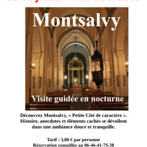 Visite guidée nocturne de Montsalvy