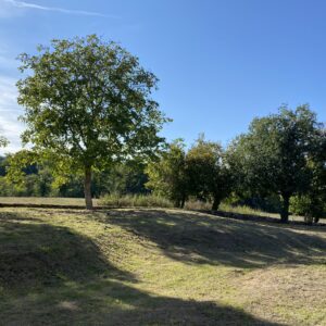 Visite du château de Naucaze