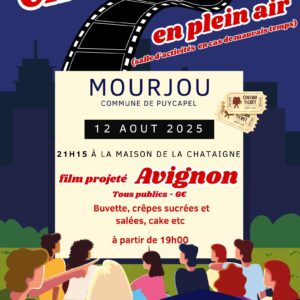 Cinéma en plein-air