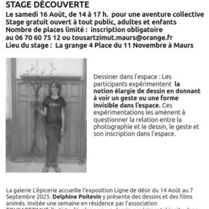 Stage de Découverte autour de l’Exposition « Lignes de désir » par Delphine Poitevin