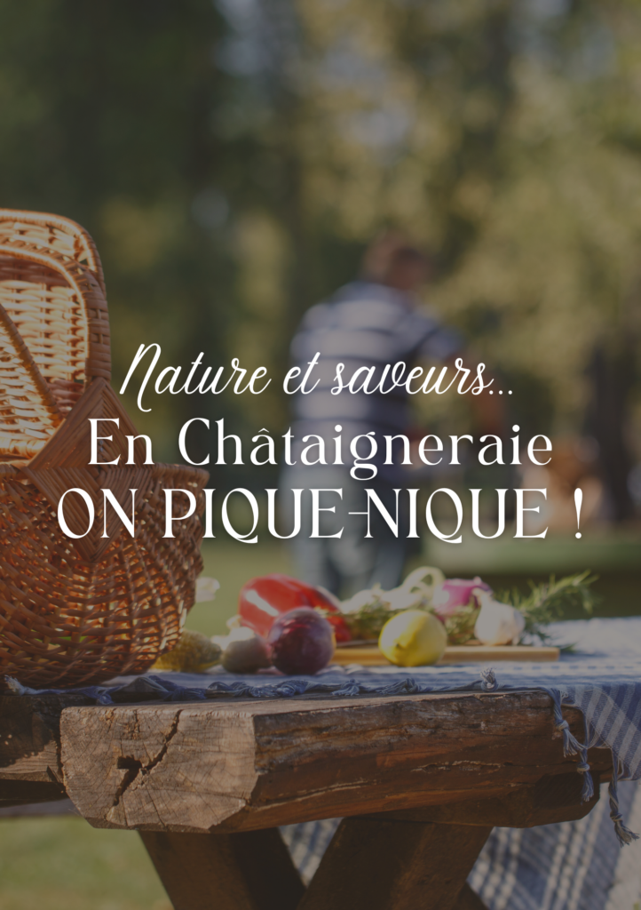 Le pique-nique, c'est tout un art ! Manger des bons produits oui mais dans un joli cadre aussi ! Découvrez notre sélection d'aires de pique-nique à découvrir d'urgence lors de vos vacances en Châtaigneraie Cantalienne !