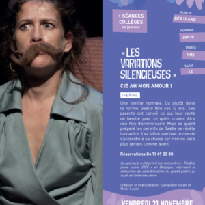 Théâtre : « Les Variations silencieuses »