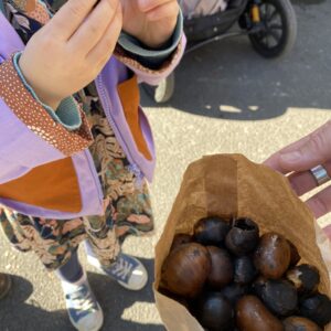 34e foire de la Châtaigne et du Châtaignier