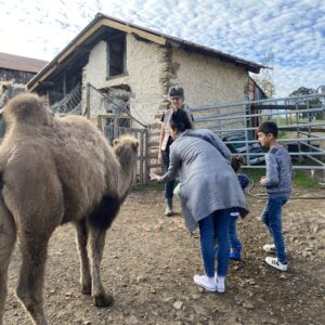 Visite guidée de La Prairie des animaux
