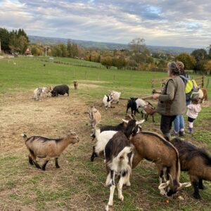 Visite guidée de La Prairie des animaux