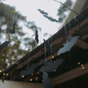 Atelier enfant : “Confectionne ta chauve-souris d’Halloween”