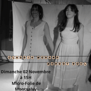 Spectacle : Panier artistique “Tissus de vivant·es” à la Micro-Folie