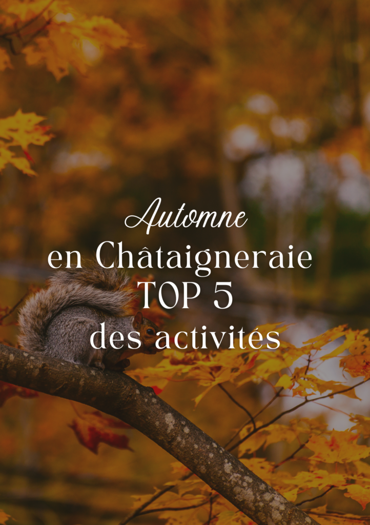 Voici notre Top 5 des expériences à vivre absolument cet automne en Châtaigneraie Cantalienne 🌰