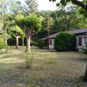 Gîte Nature Au Cœur de la Forêt n°3