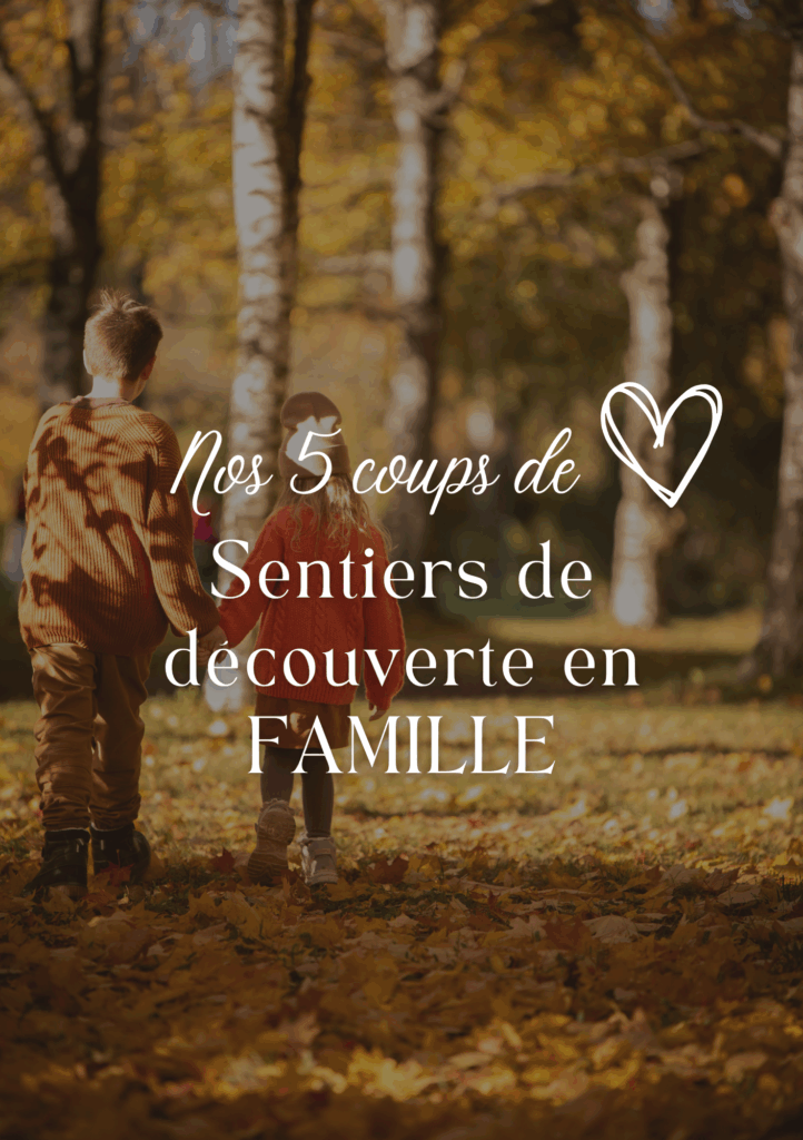 Les Pépites d'Automne en #chataigneraiecantalienne : Nos sentiers favoris 🌰 pour de belles aventures en famille !