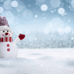 Panoramic view of happy snowman in winter secenery with copy space