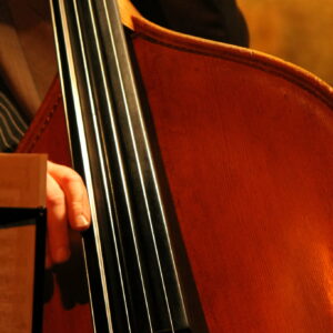 Concert – « Robustesse » à la Micro-Folie