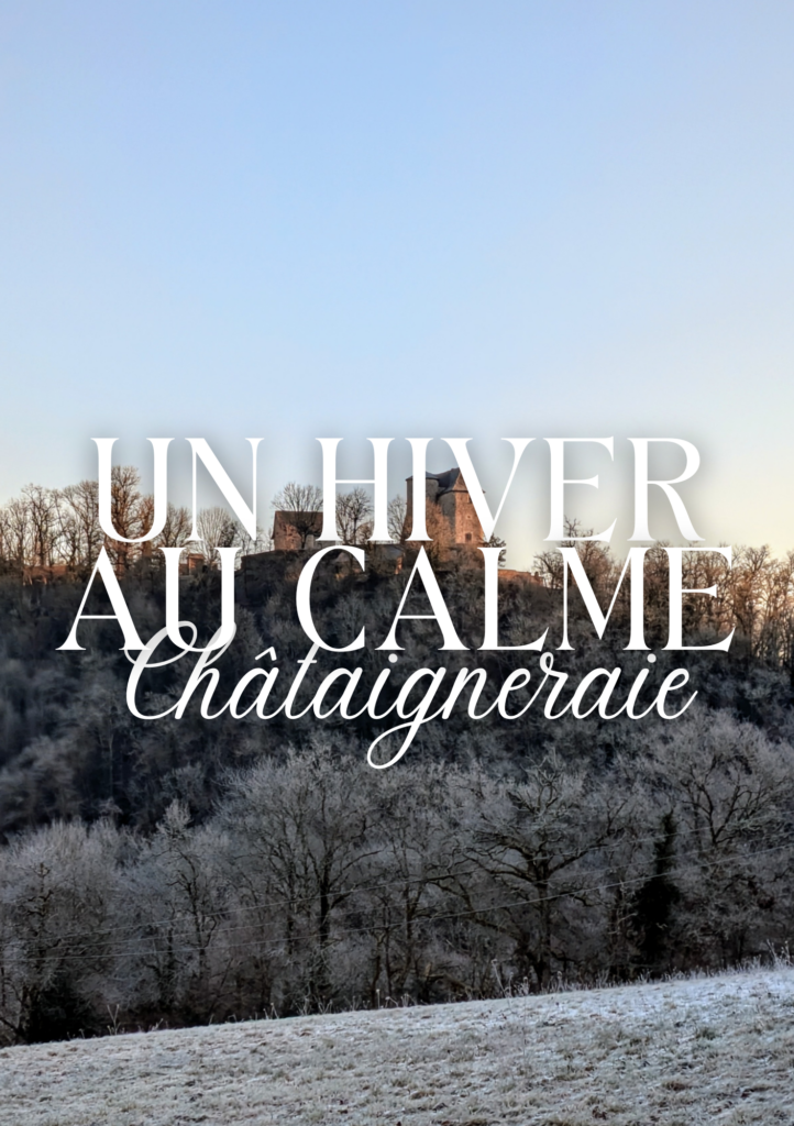 L’hiver s’installe… et avec lui, une douce pause. Envie de calme, de balades en nature, de saveurs réconfortantes et d’idées pour vivre la Châtaigneraie autrement ? Plongez dans notre guide hivernal !