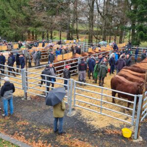 Fête du Bœuf de Pâques