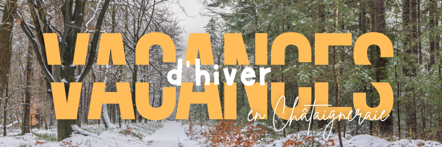 vacances d'hiver bandeau