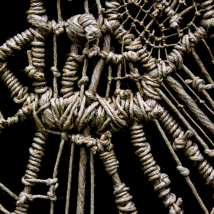 Exposition au Musée Gabriel – Le Pingouin élastique, V. Lanou/M. Huisman et S. Syord