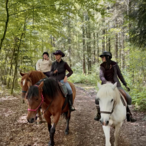 Au Paradis des Chevaux
