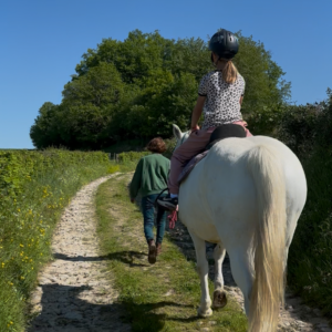 Au Paradis des Chevaux