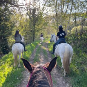 Au Paradis des Chevaux