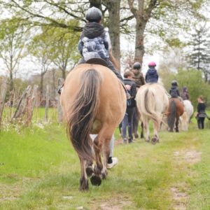 Au Paradis des Chevaux