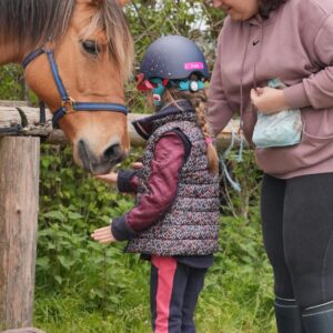 Au Paradis des Chevaux