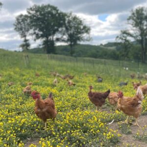GAEC La Ferme de Vabres
