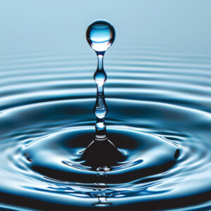 Exposition « La quête de l&rsquo;eau »