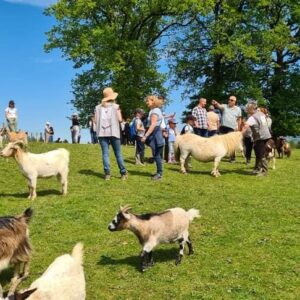 Visite guidée de la Prairie des animaux