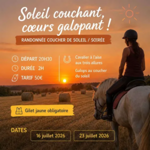 Randonnée équestre au coucher du soleil