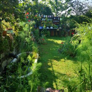 Visite guidée du Jardin Conté