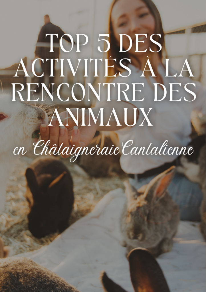 Top 5 des activités à la rencontre des animaux