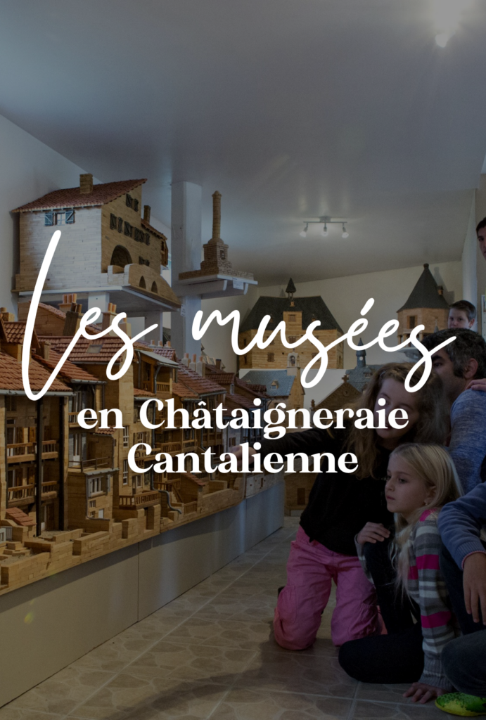 Que vous soyez curieux de nature, amateur de musique, passionné d'histoire ou simplement à la recherche d'une sortie originale en famille, poussez la porte de nos musées.