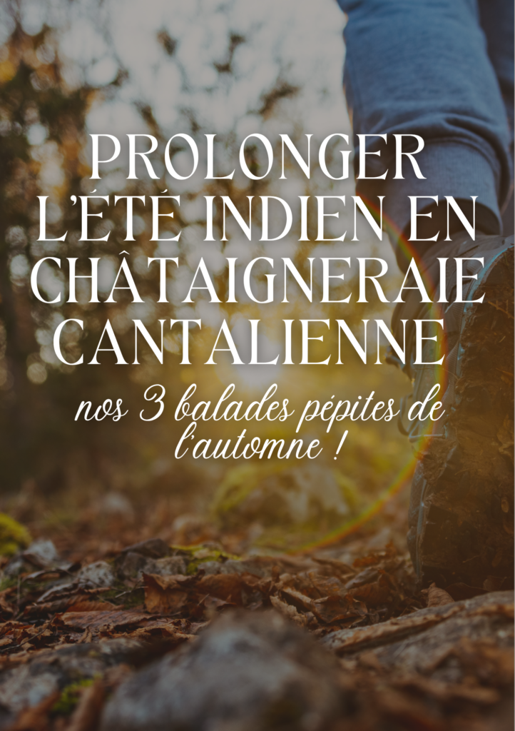 Prolonger l’été indien en Châtaigneraie Cantalienne : nos 3 balades pépites de l’automne !