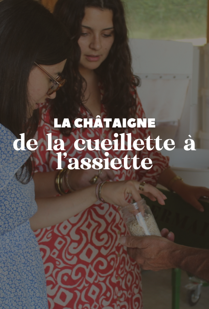 Découvrez la foire de la Châtaigneraie Cantalienne à Mourjou et plongez dans l'histoire de ce fruit emblématique, de sa récolte traditionnelle à sa transformation artisanale. Explorez notre sélection de producteurs locaux, de la farine aux spécialités sucrées et salées, pour savourer toutes les facettes de la châtaigne.