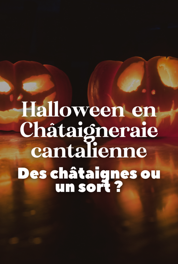Préparez vos costumes ! Retrouvez le guide des événements et des animations d'Halloween en Châtaigneraie cantalienne pour p'tits monstres (ou les grands) !